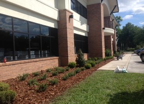 Landscaping Lakeland FL